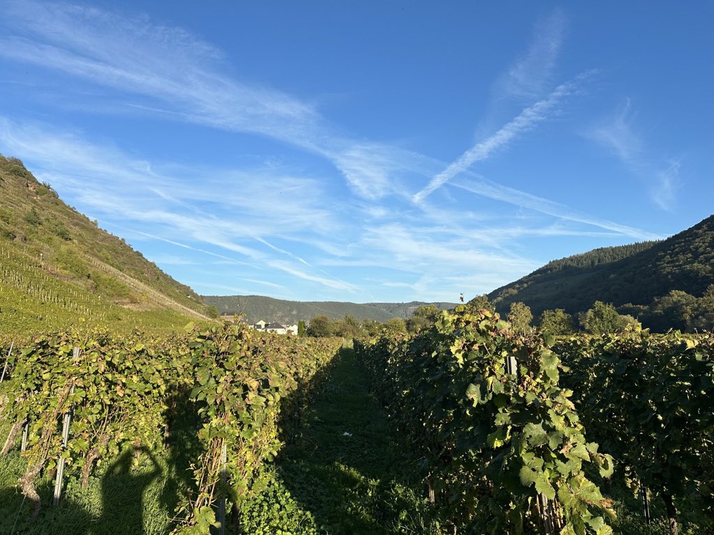 An der Mosel.