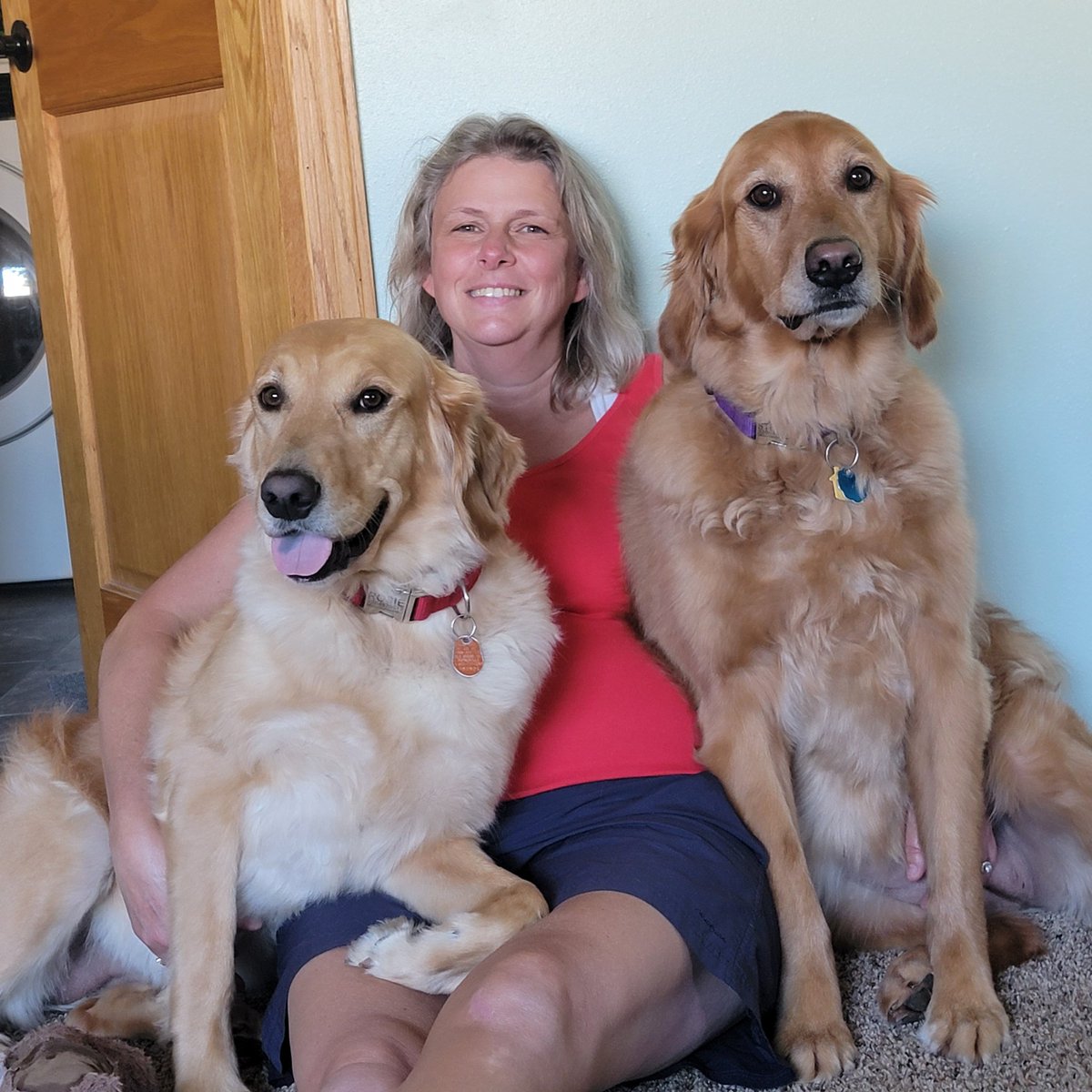 We are chilling with Mommy today, who cares about football? #Rosie #Stella #Goldens