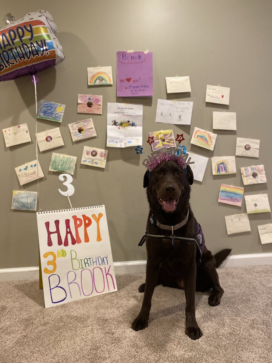 Brook (@meadow_brook_) on Twitter photo 🎶Happy Birthday to me, today I turned 3!!🎶
Special thanks to Ms. Hicks’s 1st Grade at Guest El. for my Bday book and cards! <a href="/MBEMUSTANGS/">Meadowbrook Elementary</a> <a href="/WalledLkSchools/">Walled Lake Schools</a> #schooltherapydog <a href="/WlcsdD/">WLCSD Therapy Dogs</a> 🎶Happy Birthday to me, today I turned 3!!🎶
Special thanks to Ms. Hicks’s 1st Grade at Guest El. for my Bday book and cards! <a href="/MBEMUSTANGS/">Meadowbrook Elementary</a> <a href="/WalledLkSchools/">Walled Lake Schools</a> #schooltherapydog <a href="/WlcsdD/">WLCSD Therapy Dogs</a>