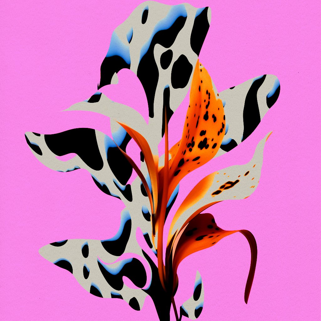 LindaDouniaR's tweet photo. This flower does not exist. https://t.co/GND2zEuQK5