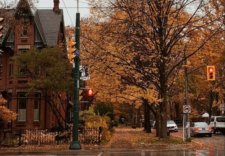 𝙳𝚊𝚛𝚔 𝚊𝚌𝚊𝚍𝚎𝚖𝚒𝚊 𝚍𝚛𝚎𝚊𝚖𝚜 tweet media