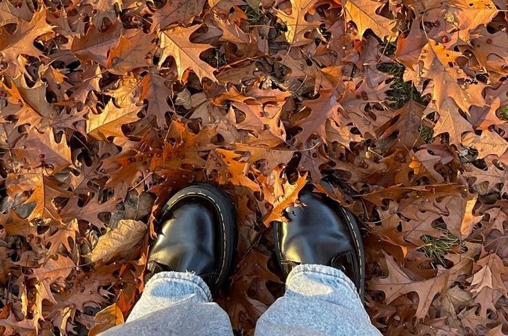 𝙳𝚊𝚛𝚔 𝚊𝚌𝚊𝚍𝚎𝚖𝚒𝚊 𝚍𝚛𝚎𝚊𝚖𝚜 tweet media