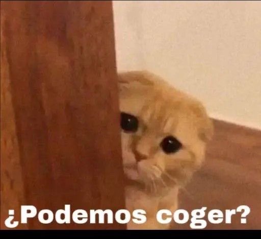 amisiita_'s tweet photo. Hola https://t.co/Inu5Fkkrn4
