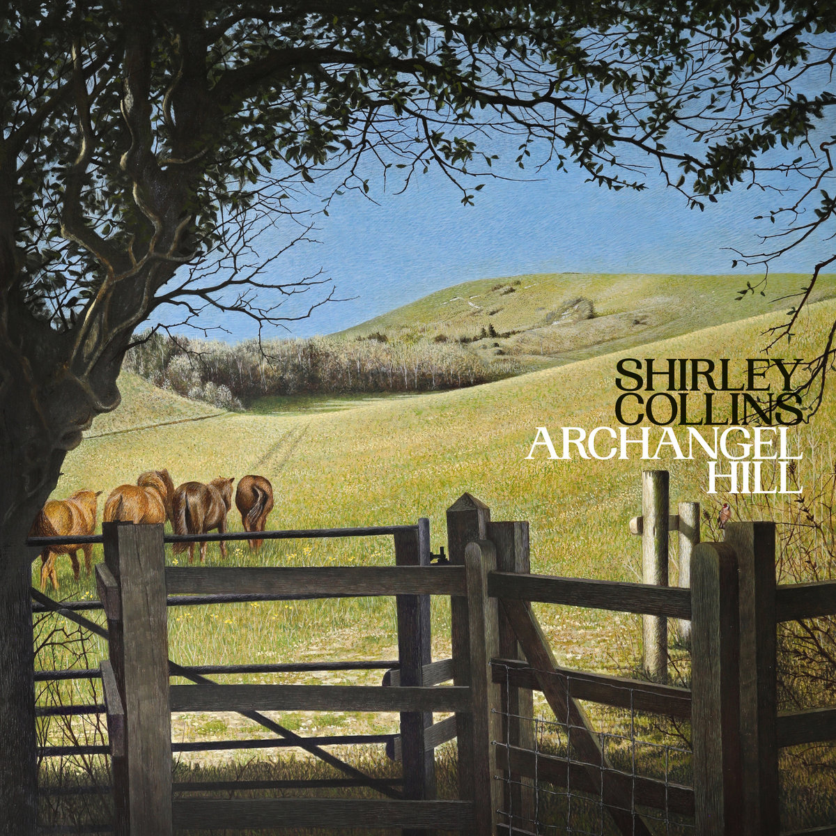 Shirley Collins - Archangel Hill . Genre: Folk / Country My Favourite Tracks: Lost In A Wood, The Captain With The Whiskers, High and Away, Hares On The Mountain . bestalbumscovers.blogspot.com/2023/09/shirle…