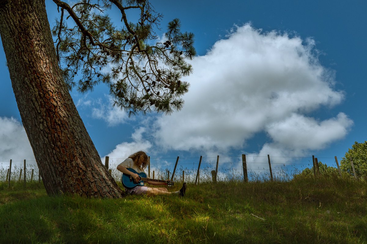 John Holley johnholley@mastadon.nz tweet media