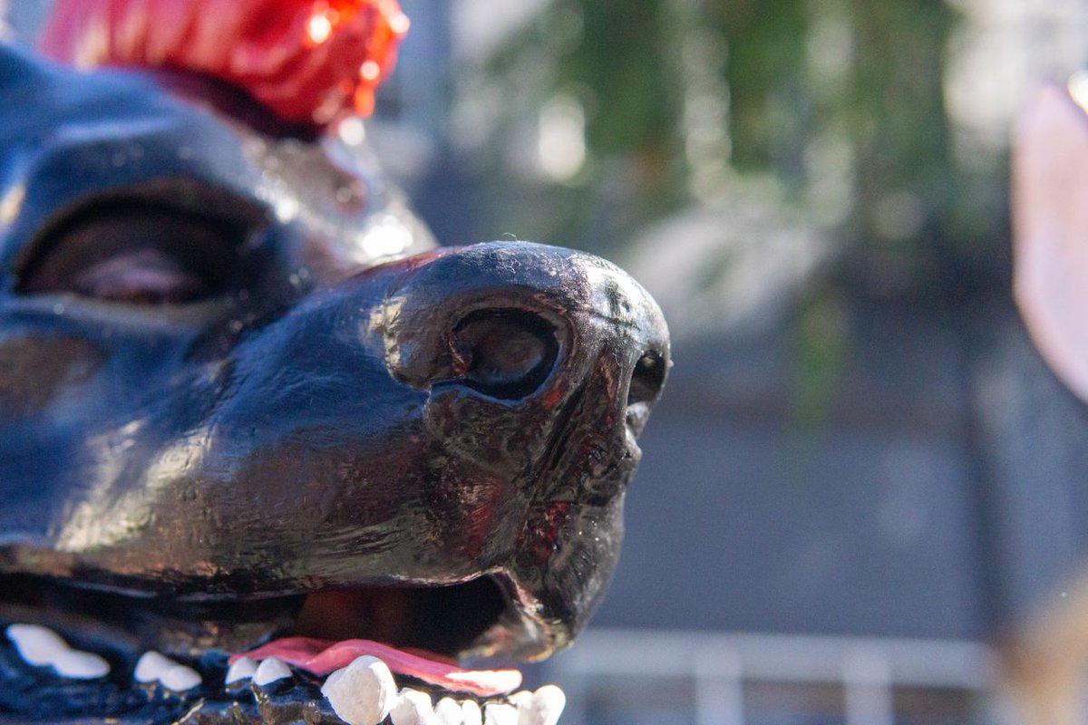 King™️ tweet media