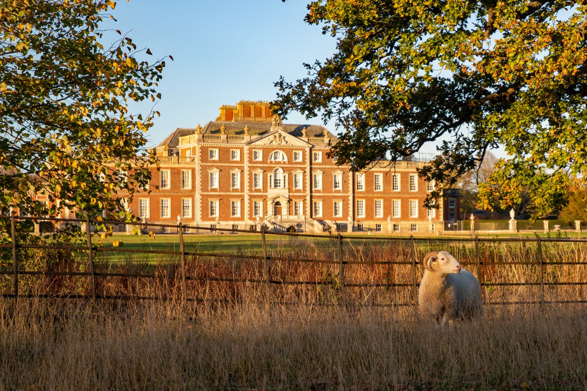 This #FreeWillsMonth, make sure the places you love are protected for future generations by leaving a gift in your will: brnw.ch/21wD6Hv

Photo: Wimpole Estate, Cambridgeshire by Mike Selby