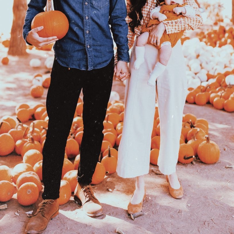 ❧                 호박철이네
              —————————
 Gathering goods and memories.