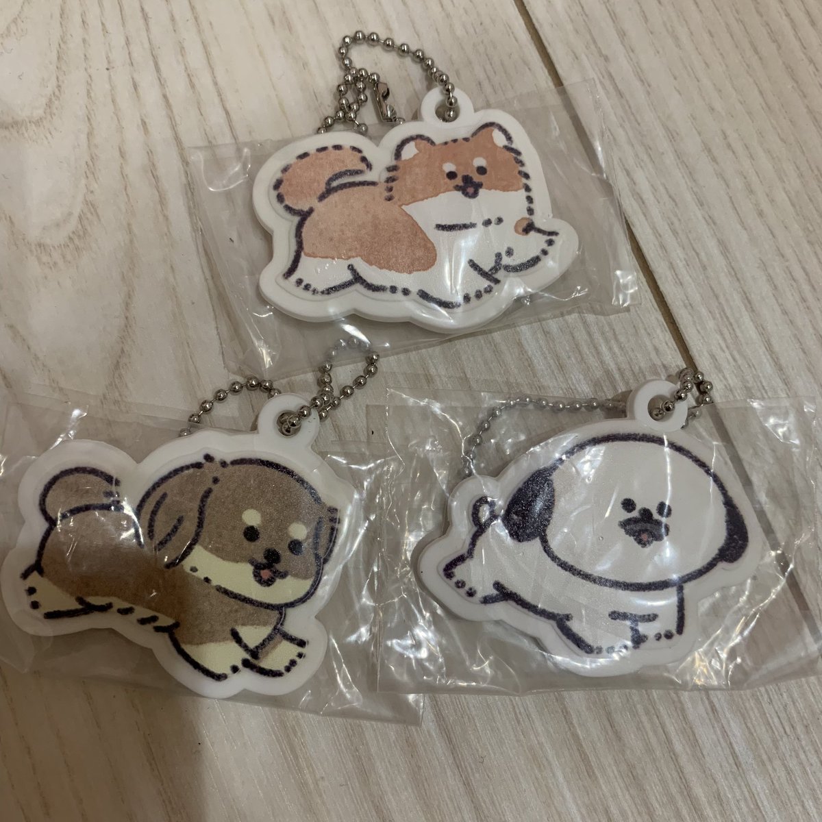 mipoooos's tweet photo. 【交換】こんにちは　いぬです ラバーマスコット ガチャガチャ　犬

譲）ポメさん　ダックスさん
パグさん

求）シュナさん（シュナウザー）

郵送📮
検索からの気軽にどうぞ🥹 https://t.co/0YSWOxMFzm