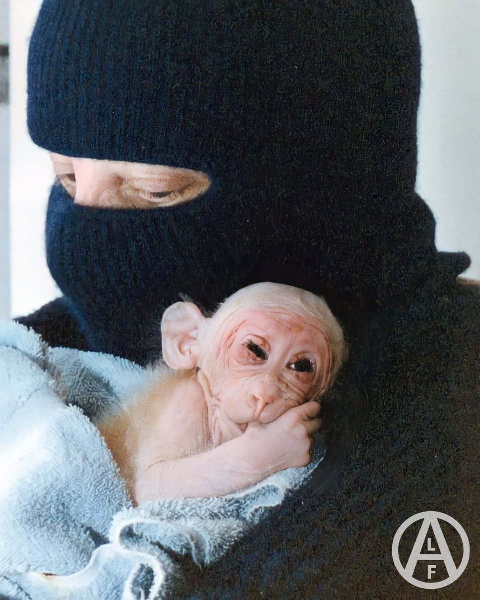 “Los torturamos porque son similares a nosotros, pero no les otorgamos ningún derecho porque son diferentes. Un razonamiento perverso que tenemos la obligación de romper”.
–Médicos alemanes contra la experimentación animal
#AnimalLiberation #NoEsCiencia  
#AboliciónVivisección