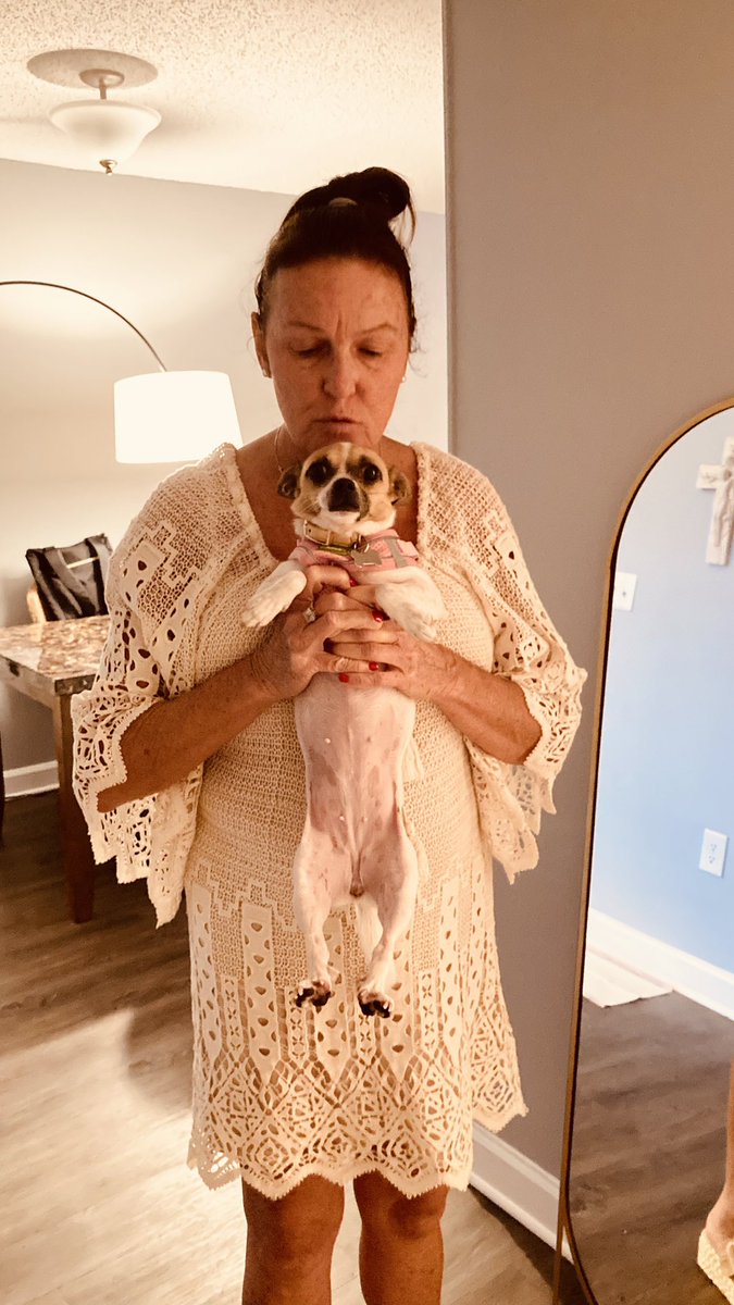 cagrle's tweet photo. POV: you pooped on the floor and mom came home and found it 

#dog #funny https://t.co/FuASZoOrUp