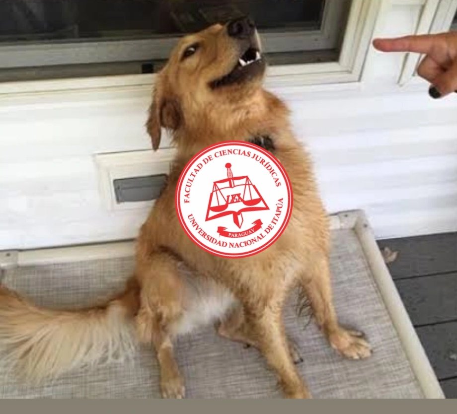 Ultima noche, Repito!!! No hagas una pendejada hoy!! No hagas pendejadas!!!