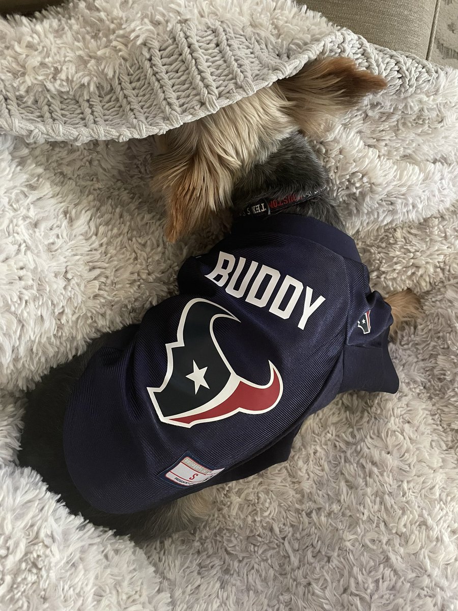 jenfelldown1011's tweet photo. Buddy the Elf naps after an exciting game! He'll be ready to put his jersey on next game and bring his lucky energy!
#battlered #houstontexans #thehoustontexans #texans #nfl https://t.co/WjseHYBPE9