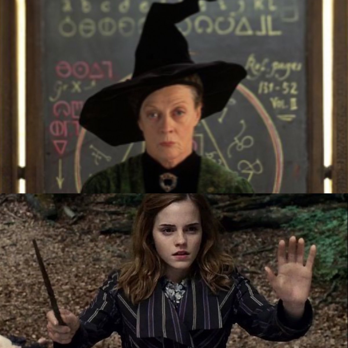 Repost this protective Hermione Granger so that Maggie Smith stays with us for many more years 🔁