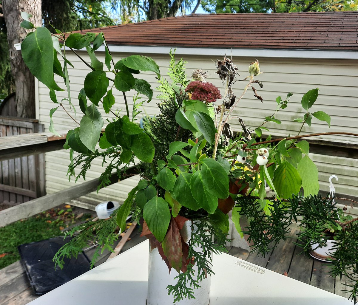 eleanor70001's tweet photo. A bouquet of branches for #Sukkoth #Sukkot https://t.co/o9unZ0HCq9