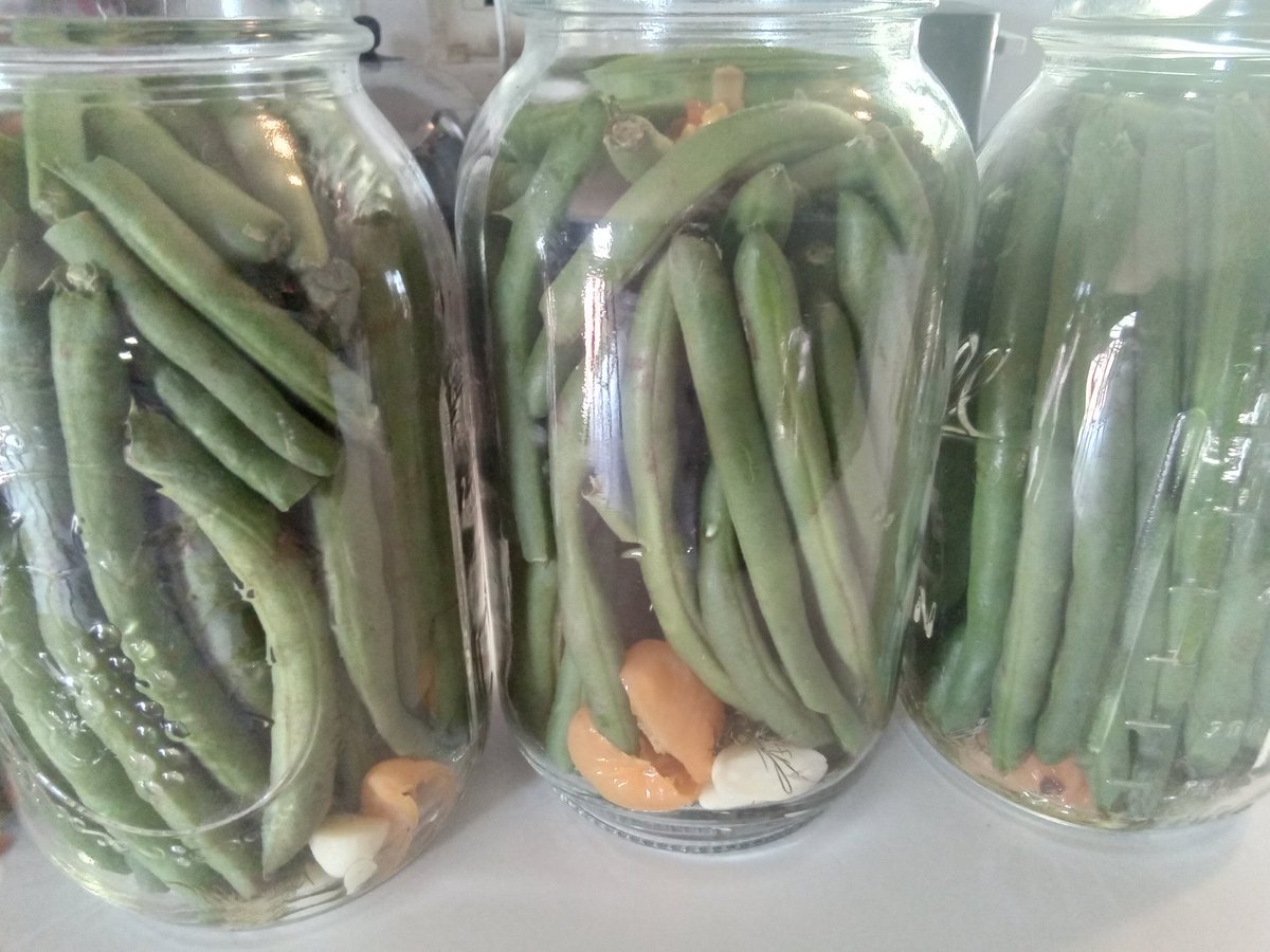 Made some Dilly Beans with Habanero 🔥