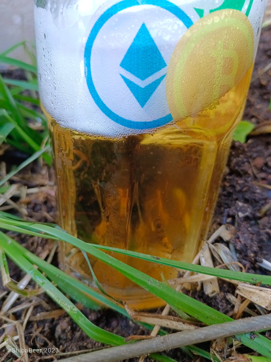 ShibaBeerX's tweet photo. Continuing the Touching  Grass Day and Finalizing the  PAW space. 

Have a nice day 🍻 https://t.co/mBS44tFZJh