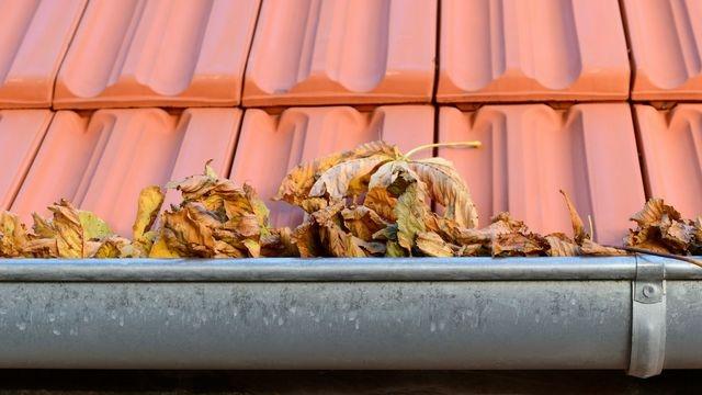 BellaToiture's tweet photo. c'est le moment pour effectuer un nettoyage complet de votre gouttière avec sur demande la pose d'une grille pour empêcher les futurs feuilles ou saletés de s'introduire dans votre gouttière. 
devis gratuit https://t.co/g3cGU658sP https://t.co/RJLOx4I4x8