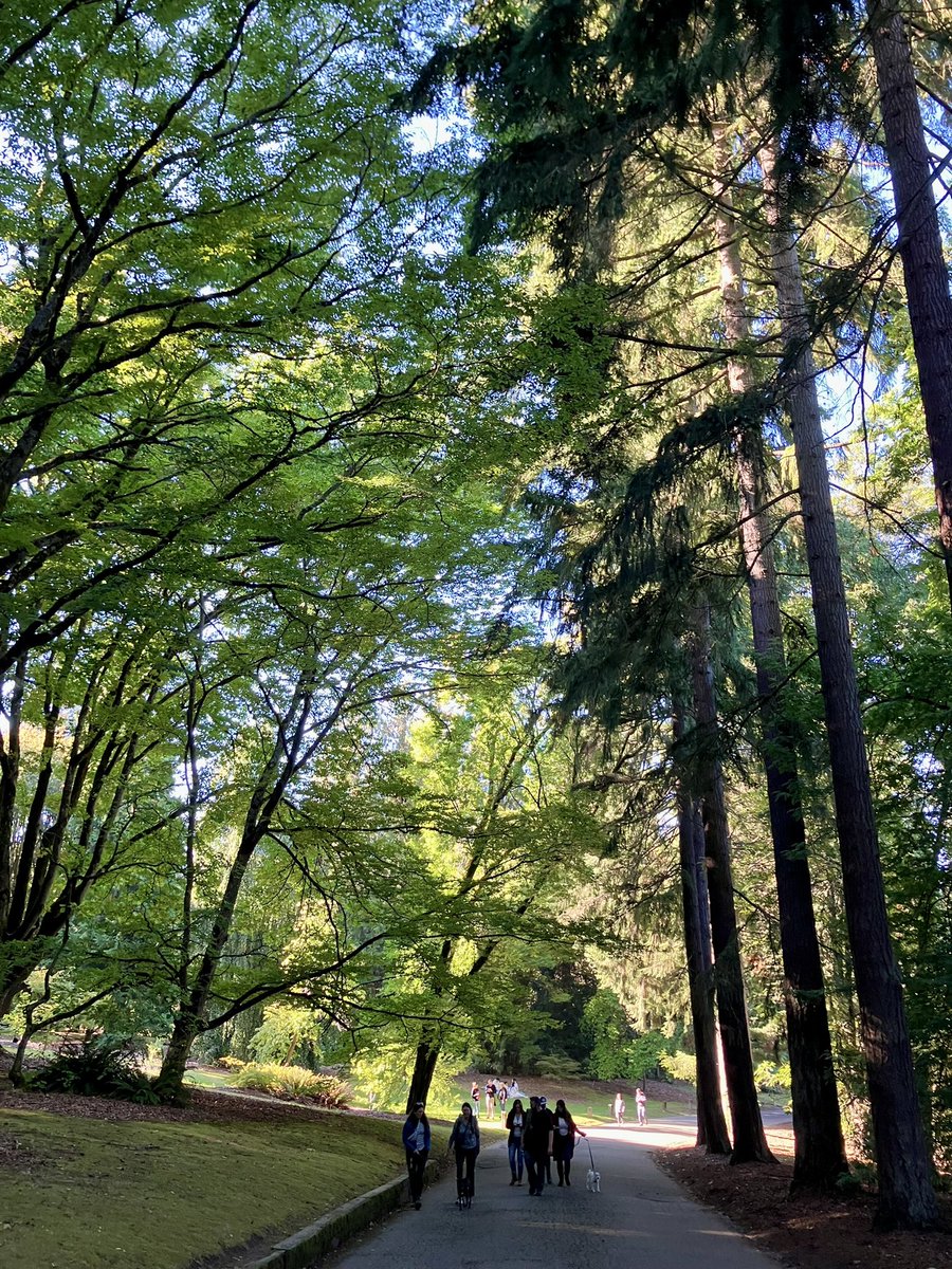 Gordon Padelford tweet media