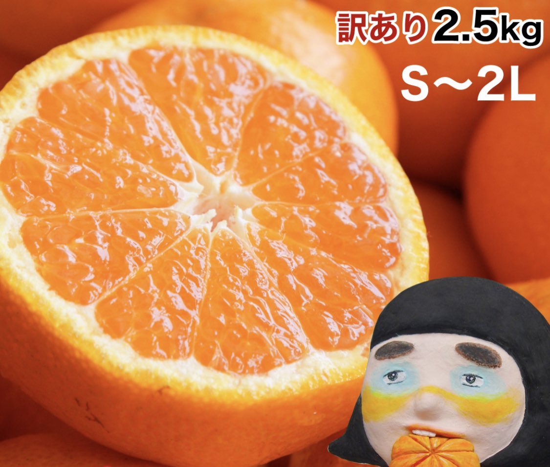 japan_food_loss's tweet photo. ／
その場で当たる 🎉
🆕PR
訳あり
和歌山県産
みかん🍊
を抽選でプレゼント🎁✨
＼

📣応募方法 
① 当アカウントをフォロー 
②リポスト＆いいね
※引用RTで🎯⤴️

📣応募締切
10月15日23時59分
当選者にはDMを送ります https://t.co/oP0syu4rHa