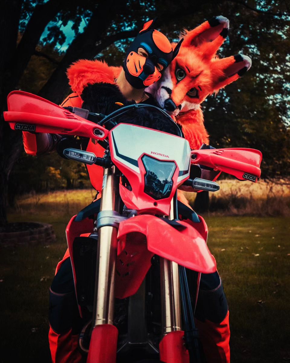 DoonTheFox's tweet photo. Happy #Foxtober!! Make sure to hug your pups, too! ππ¦π§‘ #SSCSunday #Ducati #pup #fox #fall #october
π¦βοΈ: @SSC_Costumes
πΆ: @ThePupOliver
π: @dlazo9
πΈ: @alto_pup https://t.co/wdUTThBxPm