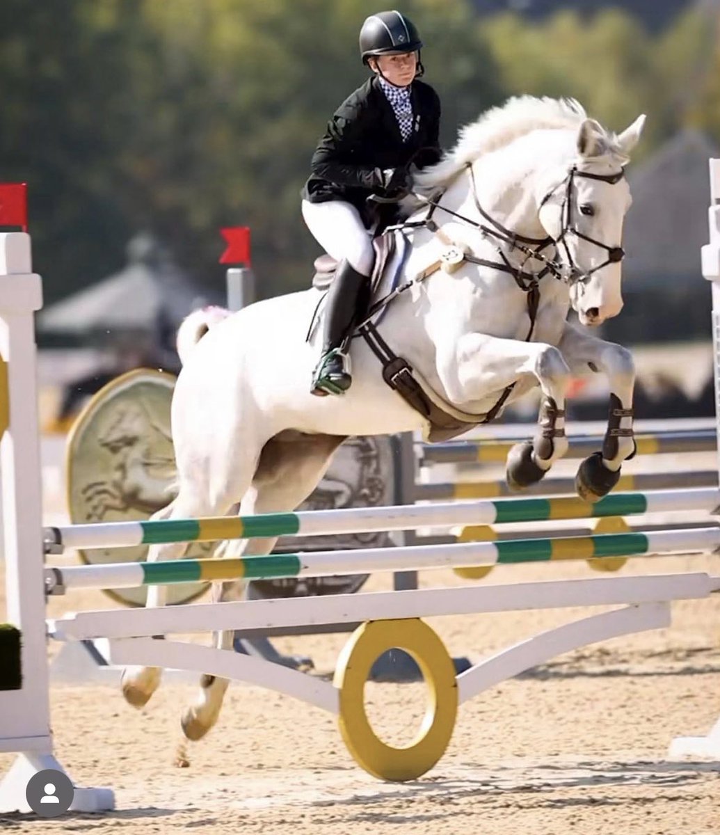 TeamNeala's tweet photo. So proud of BBG Silver Lining (Lassie) after landing a top 5 finish in the Open Modified division at Jump Start Horse Trials.  ☘️ 
@BGSsporthorses https://t.co/ieSM0zRONd