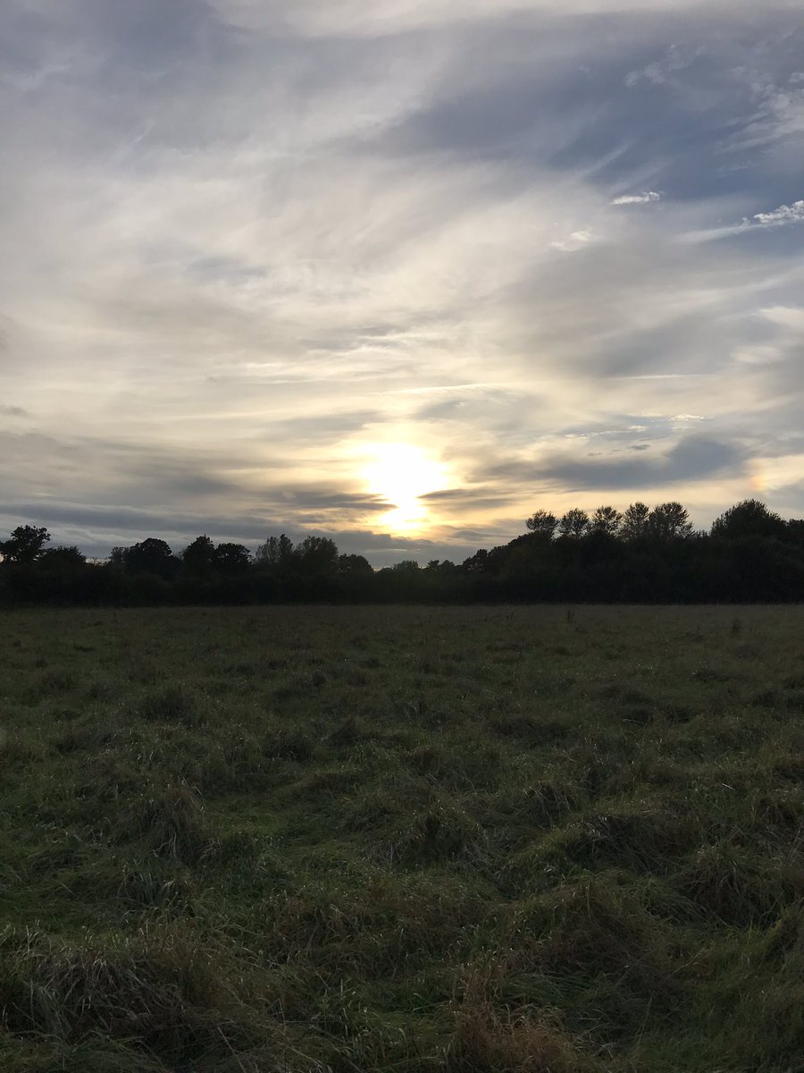 sheila westlake tweet media