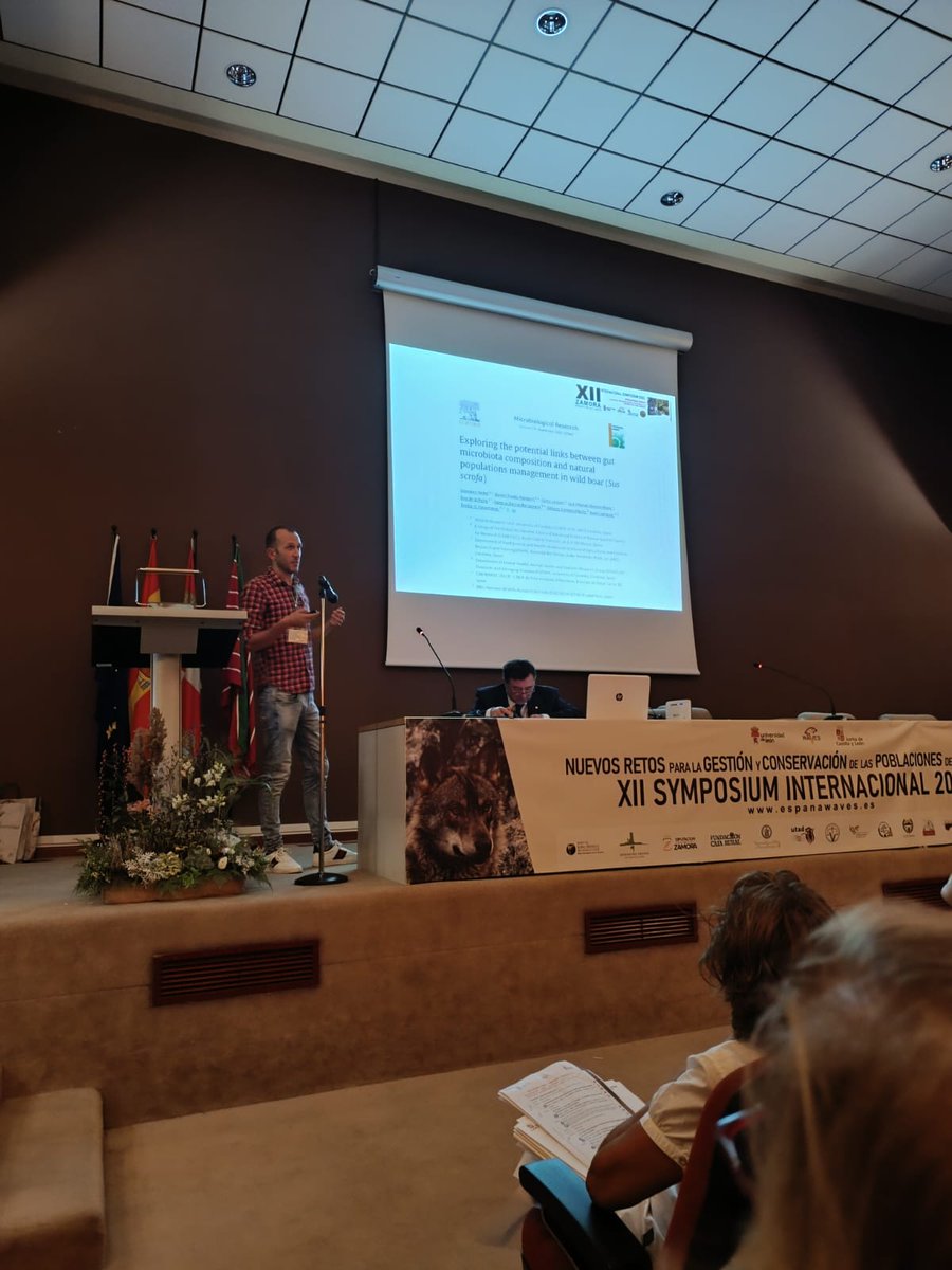 UiRCP's tweet photo. Nuestro compañero @giovannivedel presentó en el " XII Symposium Internacional. Nuevos retos para la Gestión y Conservación de las poblaciones de Oso y Lobo” su trabajo sobre la influencia de  la gestión de las poblaciones de jabalíes en el microbioma intestinal https://t.co/nMCBfjdTcm