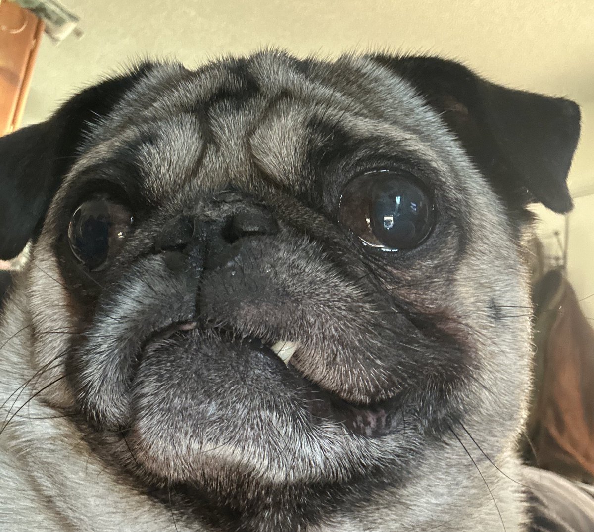 aweminus 🧀 tweet media