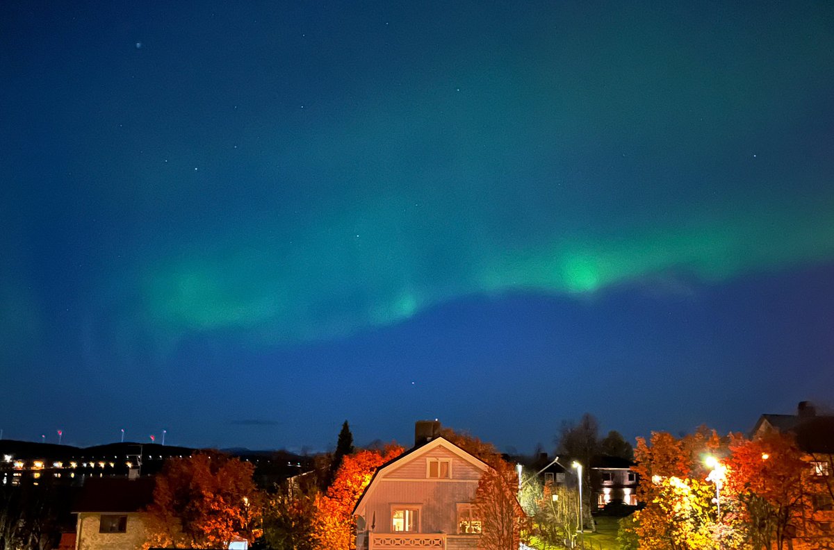 Anders Lindberg tweet media