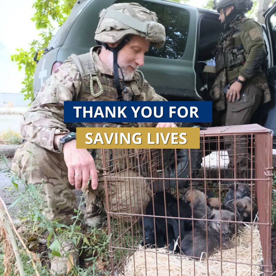 UAnimalsENG's tweet photo. Today, on the Defenders Day, we extend our heartfelt gratitude to the brave men and women who stand strong in defence of Ukraine 🇺🇦 

We take a moment of silence to commemorate heroes who have given their lives so that we can live ours in a free and peaceful country🙏 https://t.co/XoZwZcy3aa