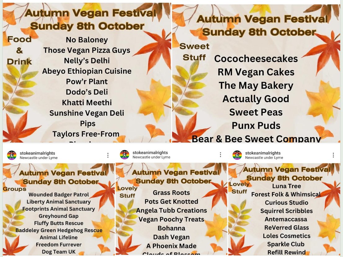 Big shout out to the awesome team <a href="/StokeAnimal/">Stoke-on-Trent Animal Rights</a> for their autumn market, happening next Sunday (8th Oct), in #NewcastleunderLyme, bundles of ace traders filling the The Stones and one of the busiest footfall days in our hometown 🙌
#LoveNUL #marketsmatter