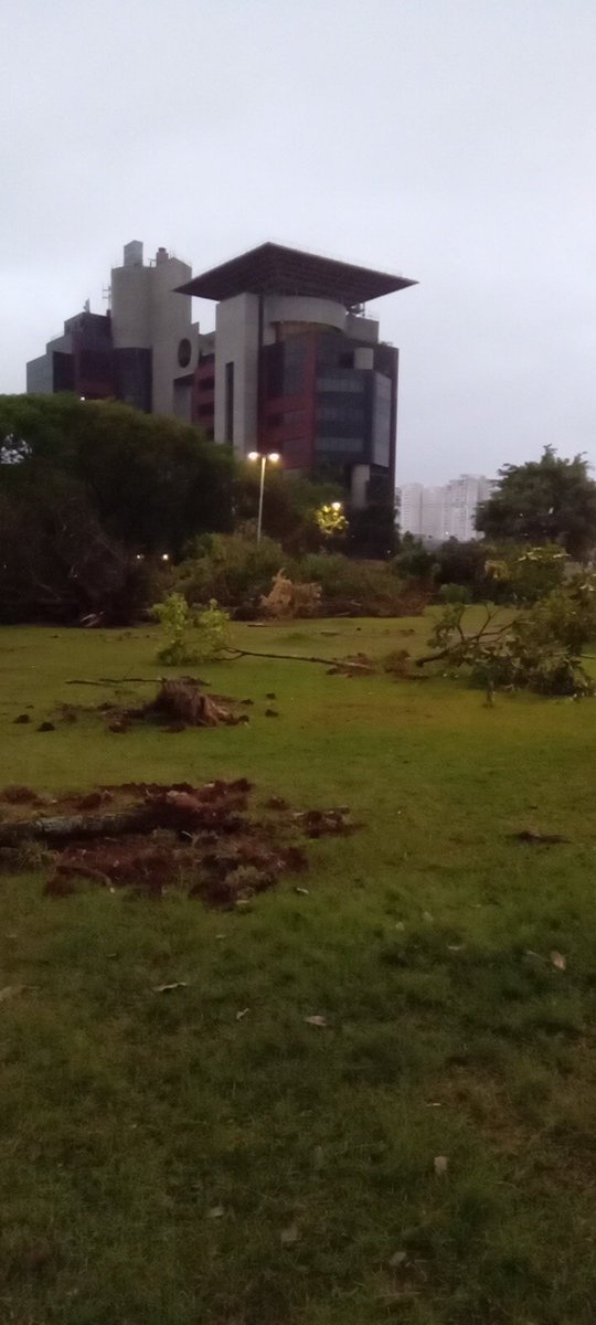 Quem curtiu tem histórias para contar ! Quem não curtiu breve não  curtirá  mais .  Fim da putaria praça TV Cultura