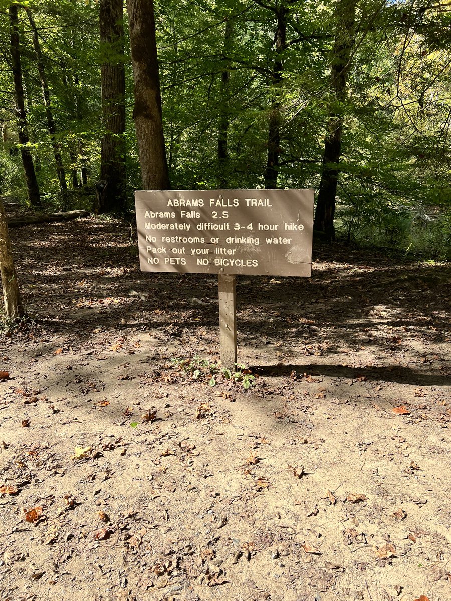 Great team hike today, followed up with some Burger Masters!! 
<a href="/AbramsFalls/">Abrams Falls</a> 
#ScotsTalk