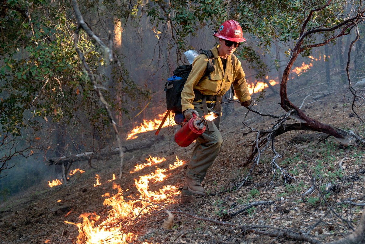 NIFC_Fire's tweet image. Our last federal wildland fire agency we want to highlight this week - @forestservice Fire &amp;amp; Aviation! Learn more about @FSNIFC by visiting: fs.usda.gov/managing-land/… &amp;amp; for a more detailed list of #FireJob &amp;amp; support positions: fs.usda.gov/working-with-u…
#NotYourOrdinaryJob