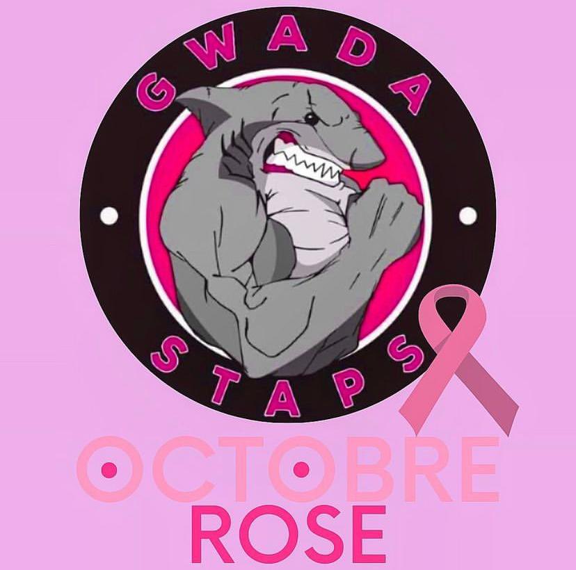 GwadaStaps's tweet photo. L’association GWADASTAPS soutient la lutte contre le #CancerDuSein 🩷 https://t.co/i9AxAi1U7m