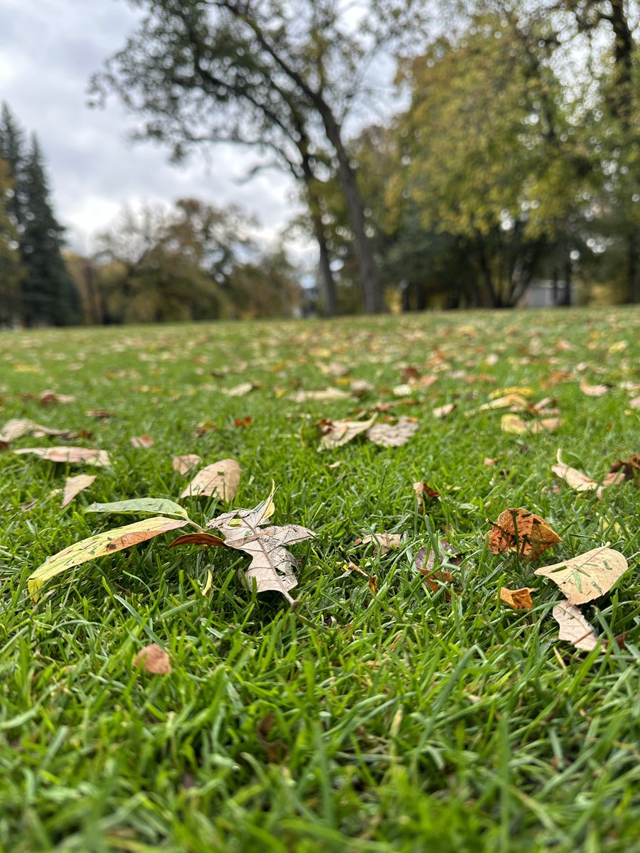 MutcherB's tweet image. A beautiful #fall day! #weekend #golf #outdoorfun