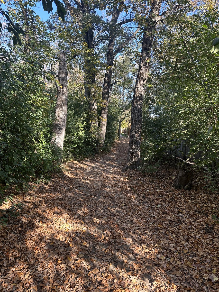 MutcherB's tweet image. A beautiful #fall day! #weekend #golf #outdoorfun