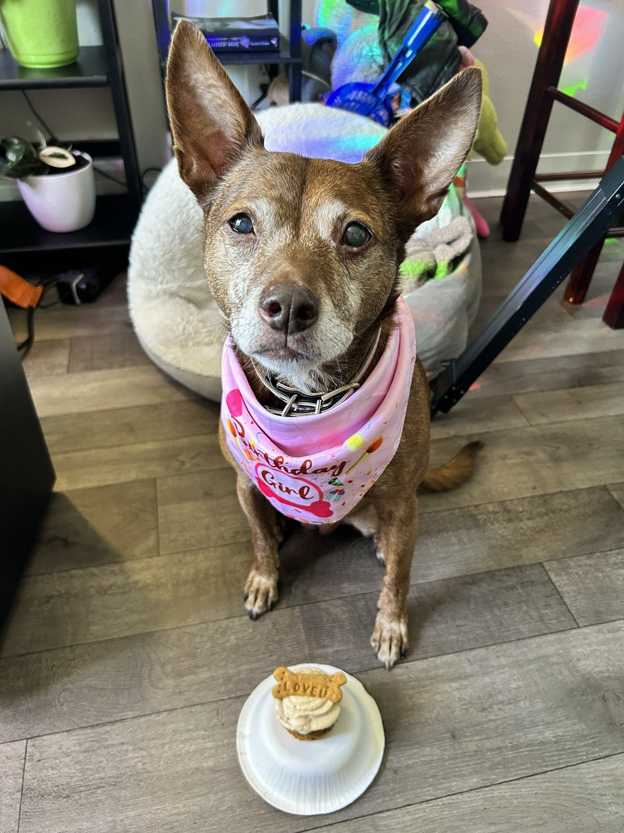 Trini 🇹🇹 tweet media