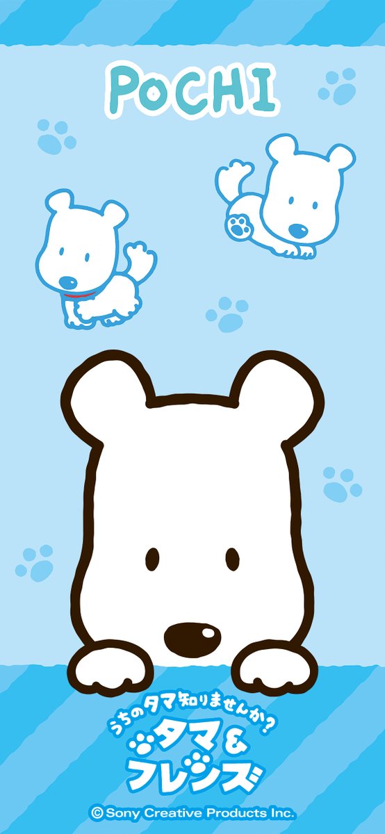 ◽🎂Happy Birthday🎂◽ 10月2日はポチの誕生日！ 今日からお誕生日
