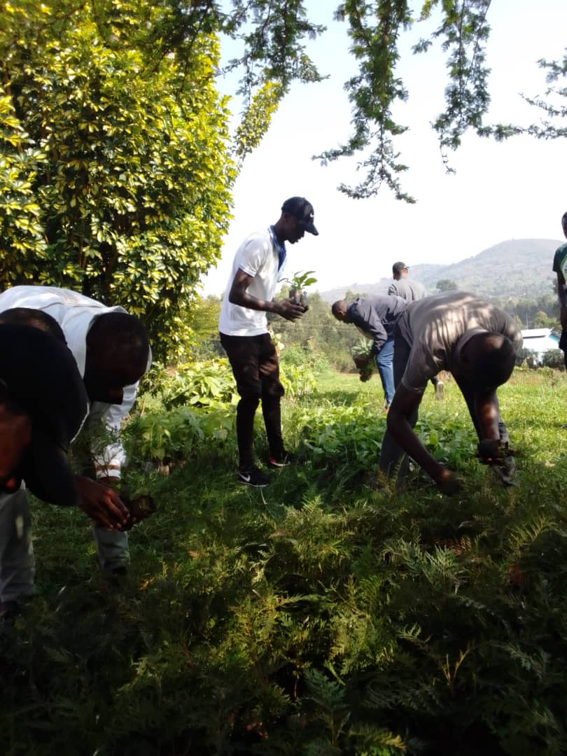 DUSAF12's tweet photo. Uyu muganda witabiriwe na @nsanzimanasabin , Minisitiri wa @RwandaHealth; Senateri @ProfDusingizem1; Depite @albert_ruhakana; Perezida wa Njyanama y’Akarere @DrKagwesage na bamwe mu bajyanama; abahagariye ibigo bya @MTNRwanda; @AlwaysInyange; @RwandaForestry, inzego z’umutekano., https://t.co/aB651IElTZ