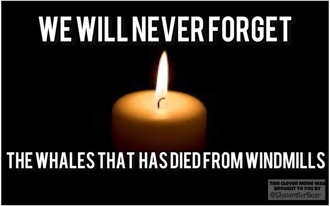 ☆St☆R☆☆ Fierce☆🌻 (@smunk8_munk) on Twitter photo 