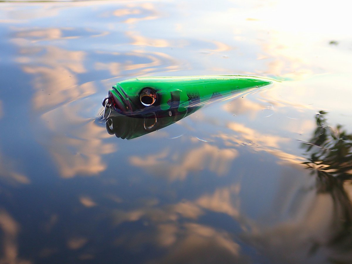 sasametsuribito's tweet image. 今日は荒川に写真を撮りに来ました…本当です😇

#fimoモニター