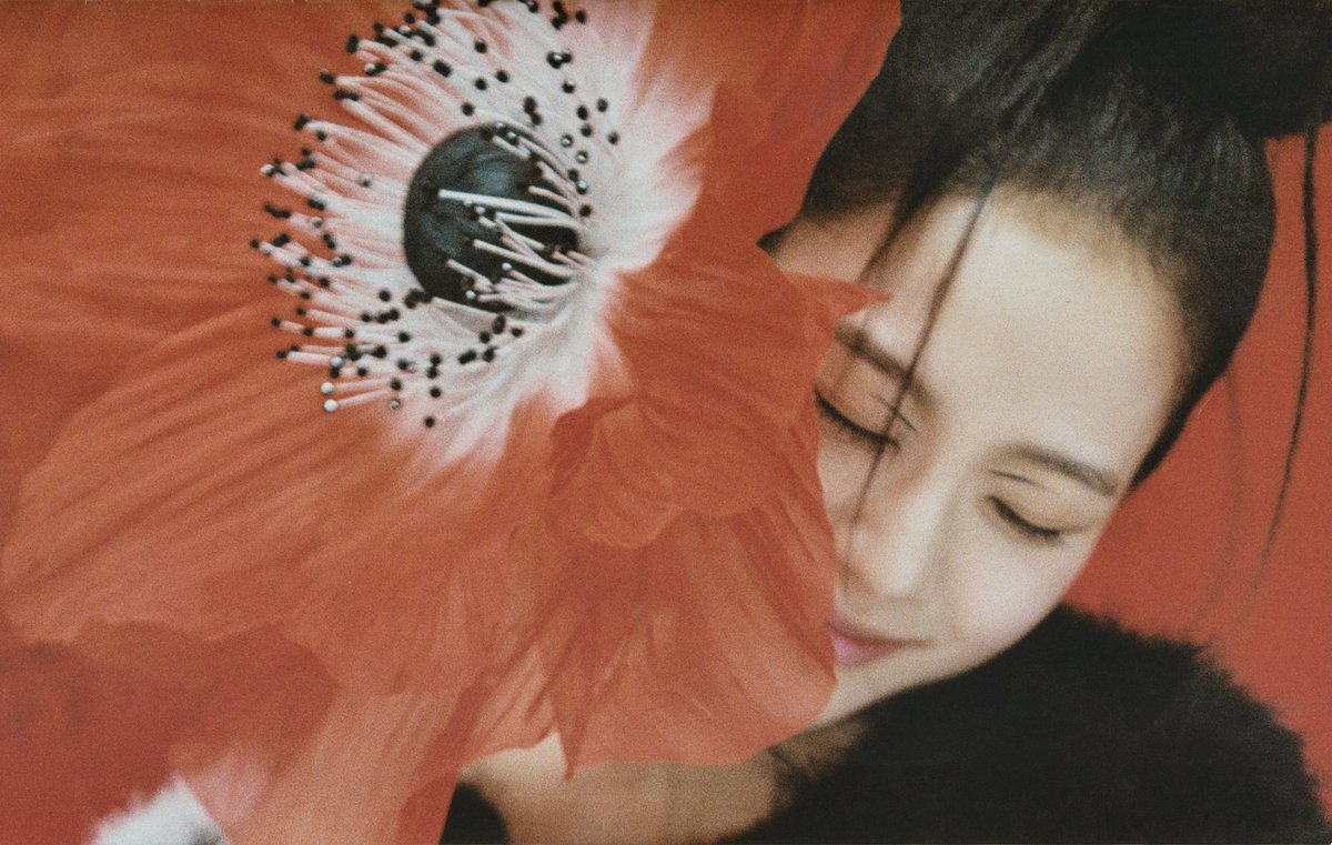 NewBLACKPINK_B3's tweet photo. BLACKPINK JISOO PHOTOBOOK ‘ME’ [SCANS] (SPECIAL EDITION)

#BLACKPINK #ME #FLOWER #JISOO #BLACKPINKJISOO #JISOOBLACKPINK #KIMJISOO #ME #JISOOME #JISOOALBUM
#JISOOKIMBLACKPINK #KIMJISOOBLACKPINK #JISOO_FLOWER  #JISOOKIM https://t.co/bqZxHVWhhR