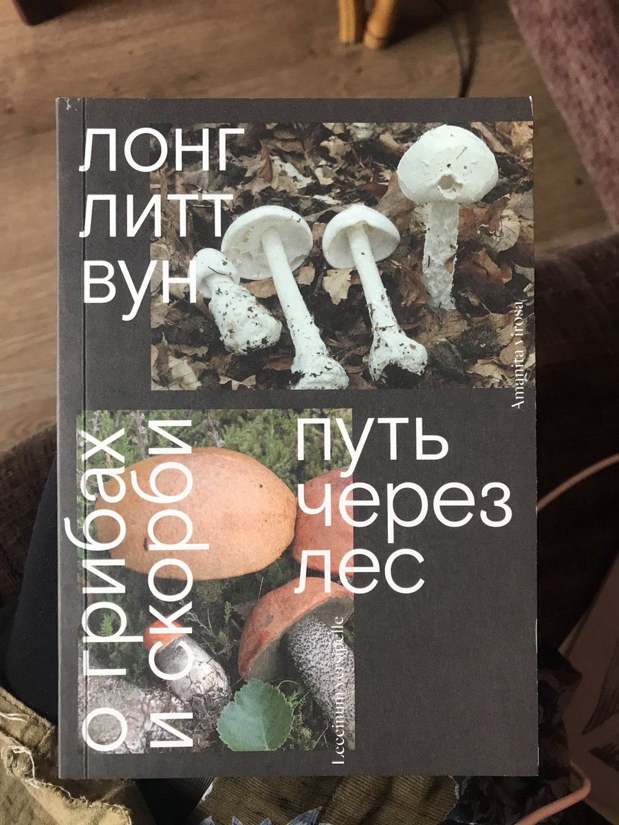 Пустота tweet media