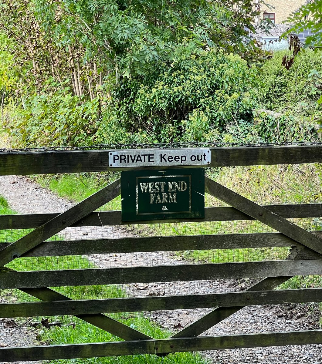 Where the bangers are made <a href="/itsthewestend/">WESTEND</a>