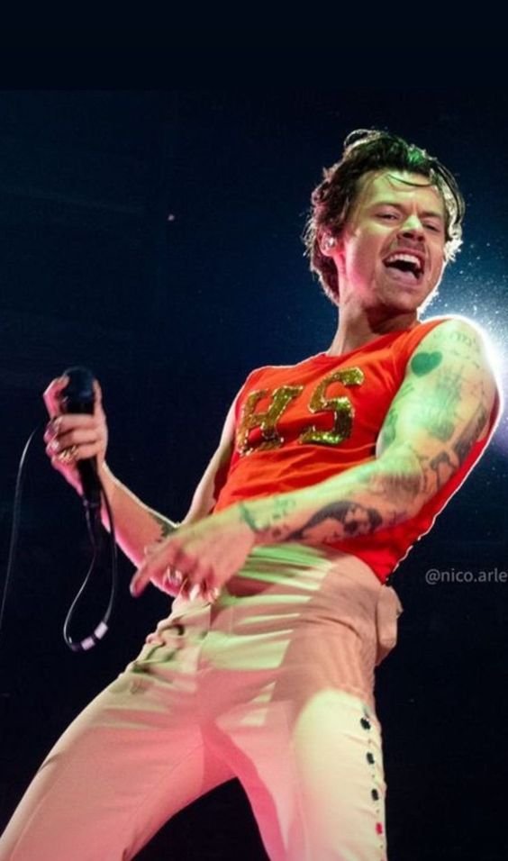 harry on tour (@heslotarchive) on Twitter photo 