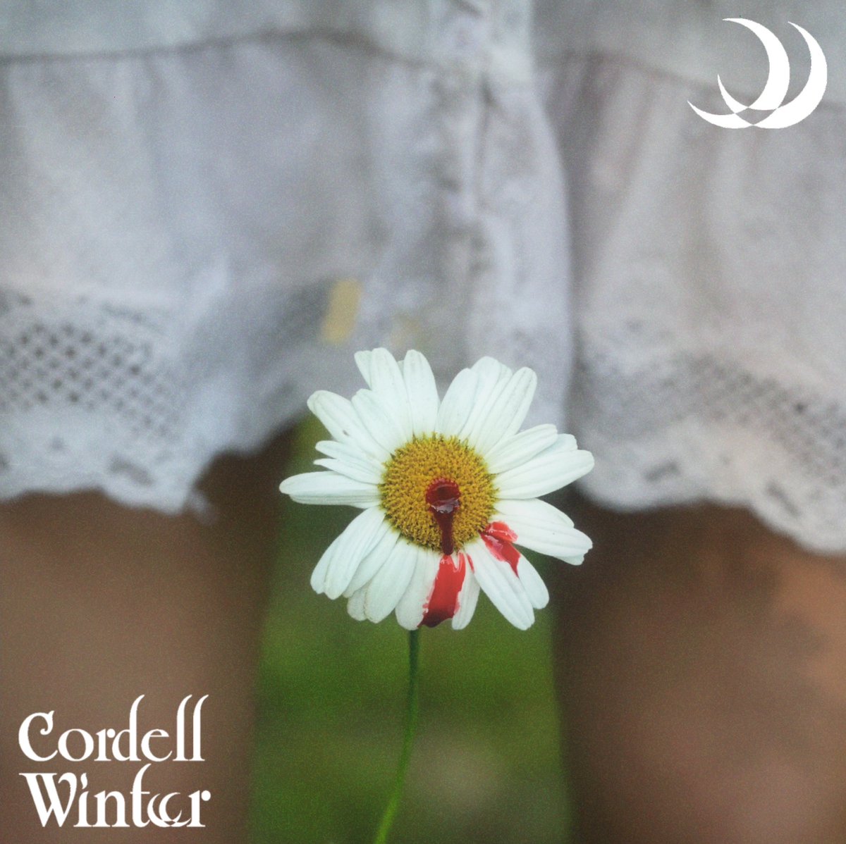Cordell Winter tweet media