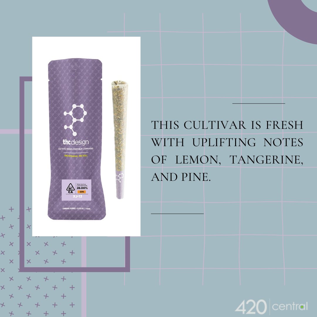 420Central1's tweet image. Featured Product - XJ-13 by THC Design
#420central #THCdesign #420centraldispensary