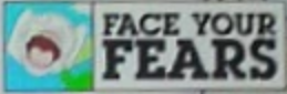 fly tweet media